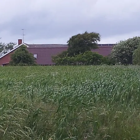 Apartman Lilleledgaard *